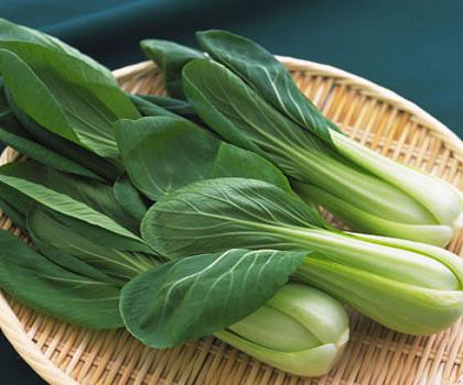 Kỹ thuật trồng cải thìa